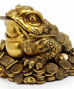 Cóc thần tài phong thủy, linh vật chiêu tài lộc, may mắn, phú quý, thường được đặt trên bàn thờ Thần Tài hoặc bàn làm việc để thu hút tiền tài và hóa giải vận xui